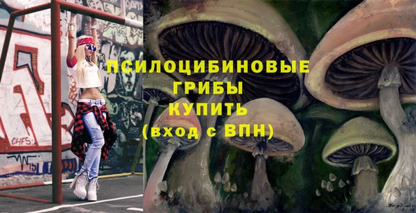 соль курить ск Горнозаводск
