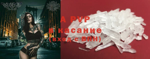 спиды Горняк