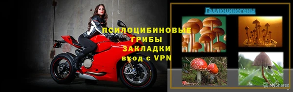 шишки Вязьма