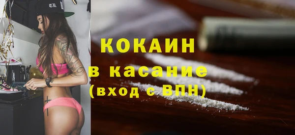 шишки Вязьма
