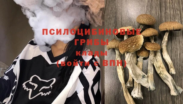 шишки Вязьма