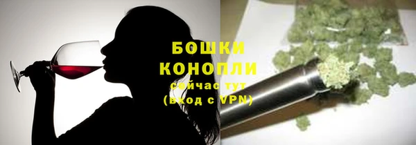 тгк Горно-Алтайск