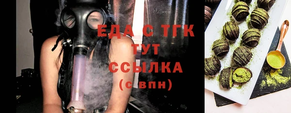 спиды Горняк