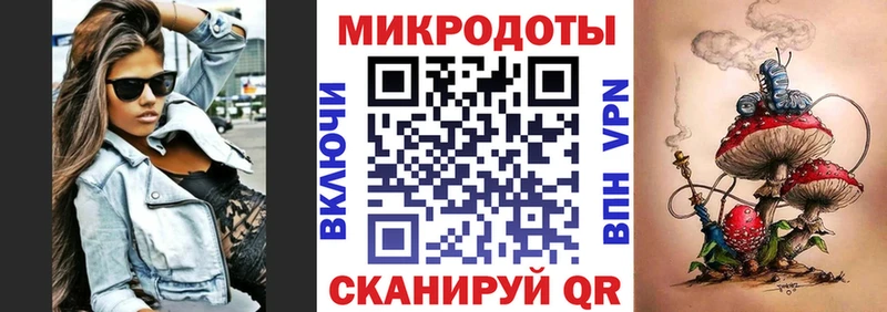 Псилоцибиновые грибы Psilocybe  Купить где  Купино 