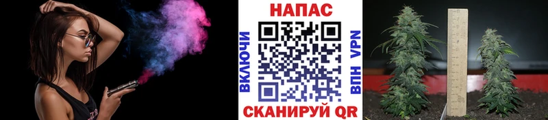 Купить где  Купино  Шишки марихуана ГИДРОПОН 